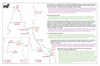 coo1e45 lizard north_thumb.gif